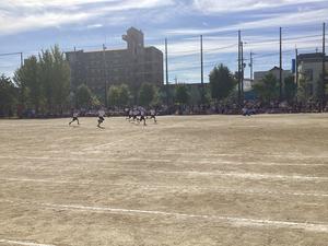 IMG_0413.jpeg