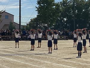 IMG_0421.jpeg