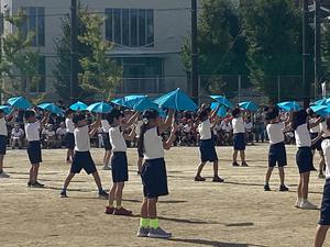 IMG_0423.jpeg