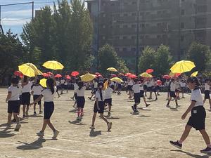 IMG_0428.jpeg