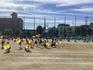 IMG_0430.jpeg