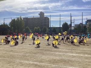 IMG_0431.jpeg