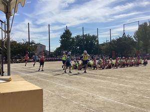 IMG_0435.jpeg