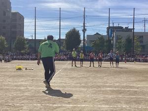 IMG_0442.jpeg