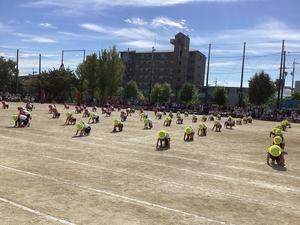 IMG_0447.jpeg