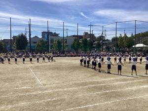 IMG_0449.jpeg