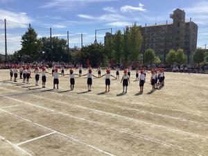IMG_0450.jpeg