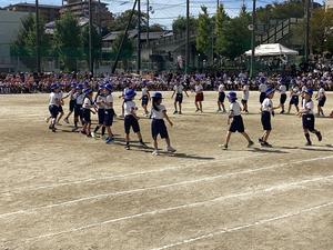 IMG_0451.jpeg