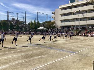 IMG_0453.jpeg