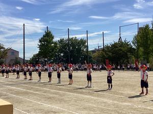 IMG_0456.jpeg