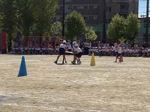 IMG_0458.jpeg