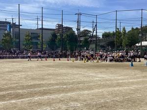 IMG_0459.jpeg