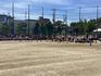 IMG_0459.jpeg
