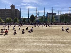 IMG_0470.jpeg