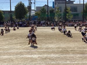 IMG_0473.jpeg