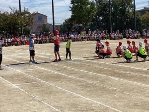 IMG_0481.jpeg