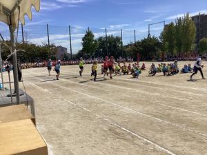 IMG_0484.jpeg