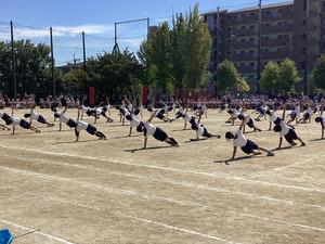 IMG_0490.jpeg