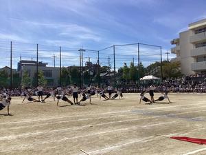 IMG_0491.jpeg