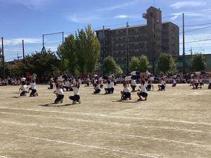IMG_0492.jpeg