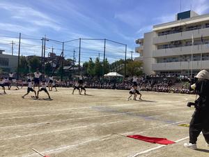 IMG_0493.jpeg