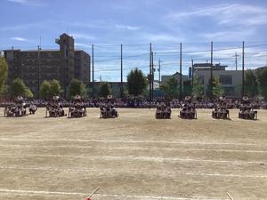 IMG_0496.jpeg