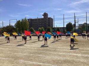 IMG_0499.jpeg