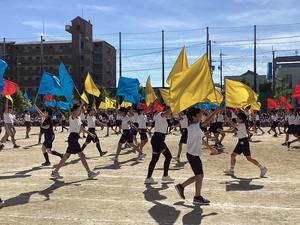 IMG_0505.jpeg