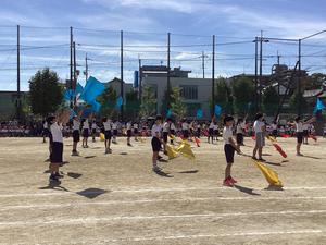 IMG_0507.jpeg