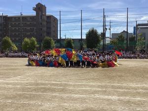 IMG_0508.jpeg