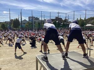 IMG_0515.jpeg