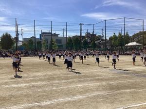 IMG_0474.jpeg