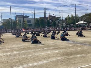 IMG_0405.jpeg