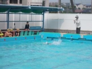 DSCN3915.JPG