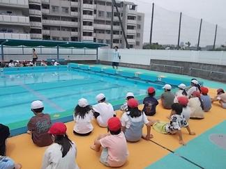 DSCN4805.JPG