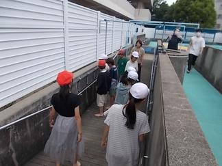 DSCN4808.JPG