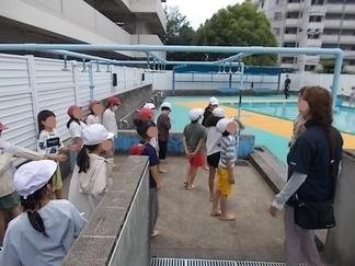 DSCN4810.jpg