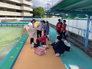 IMG_4090.JPG