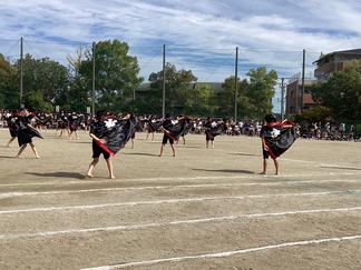 IMG_4983.JPG