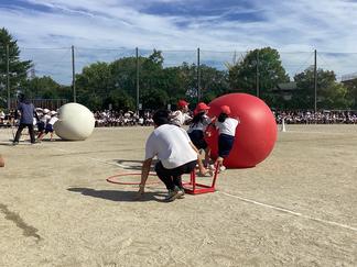 IMG_4995.JPG