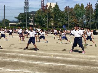 IMG_5052.JPG