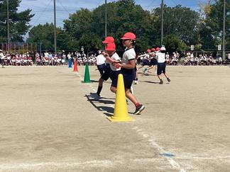 IMG_5062.JPG