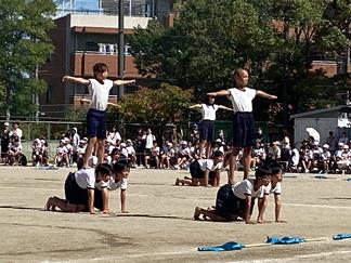 IMG_5088.JPG