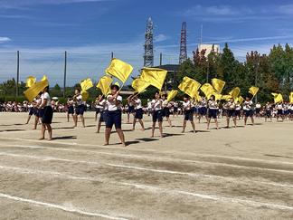 IMG_5112.JPG