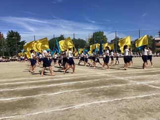 IMG_5117.JPG