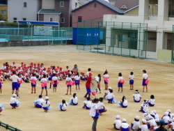 P1010330.jpg
