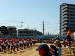 P1010341.jpg