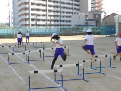 P1010415.jpg