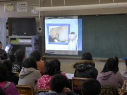 P1010643.jpg
