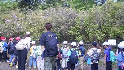 DSCN0334.jpg
